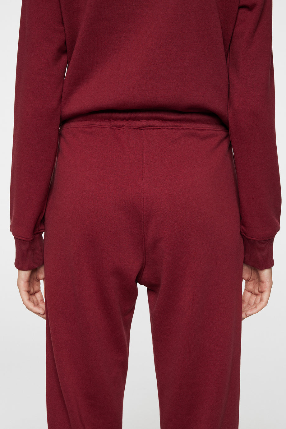 W Alpha Pant / Cabernet