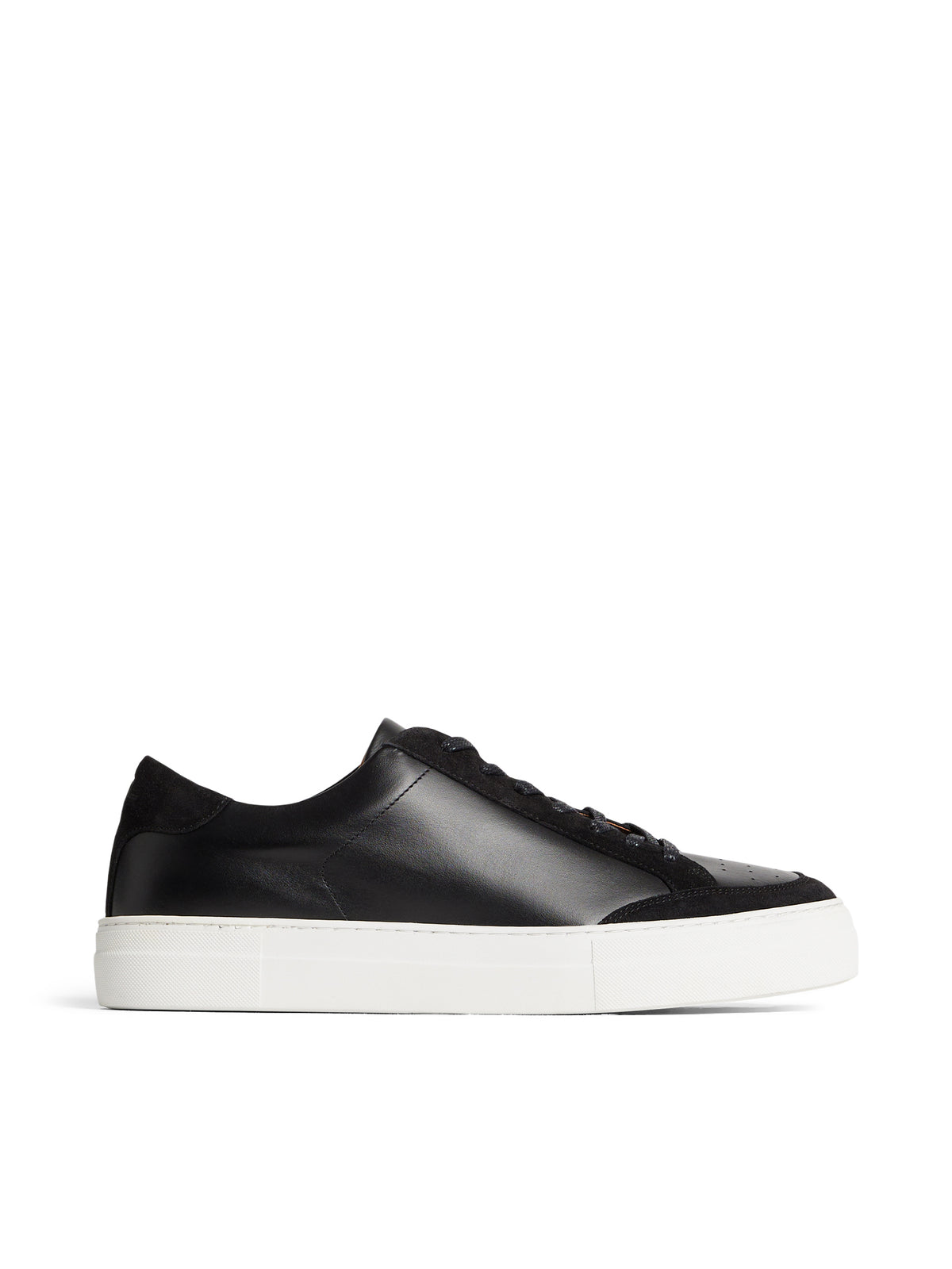 Art Signature Leather Sneaker / Black