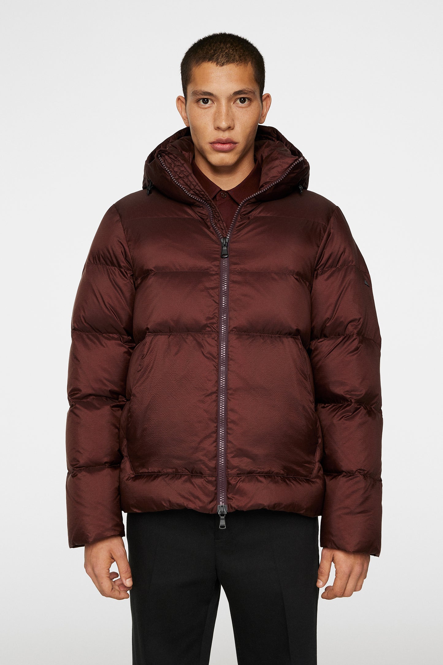 Farrell Down Jacket / Bitter Chocolate